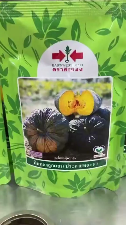 ฟักทองลูกผสม ประกายทอง